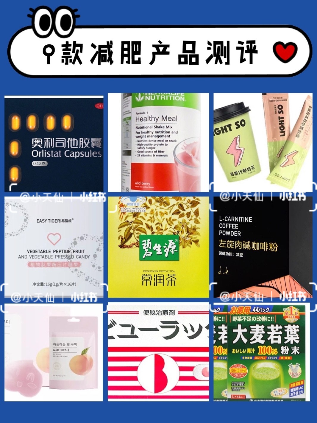 世界公認的減肥藥，探索最有效的減重解決方案，世界公認減肥藥，探索最有效的減重解決方案