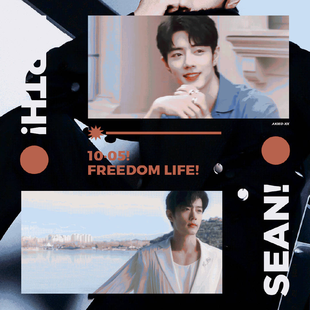 一肖一碼一一肖一子，揭秘生肖與數(shù)字之間的神秘聯(lián)系，揭秘生肖與數(shù)字之間的神秘關(guān)聯(lián)，一肖一碼與子生肖的奧秘