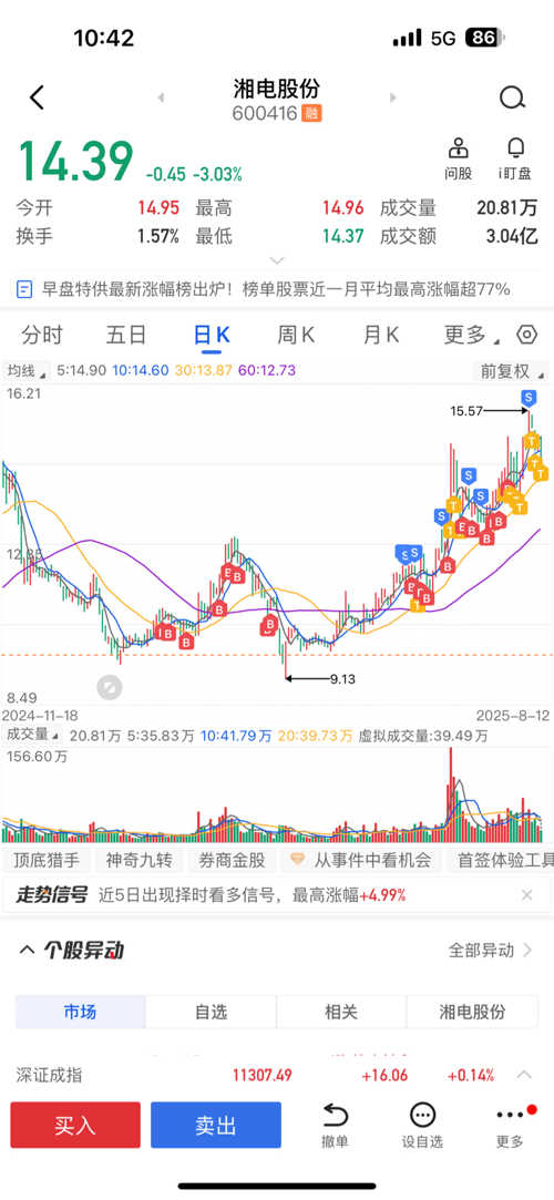 湘電股份股票，深度解析與前景展望，湘電股份股票深度解析及前景展望