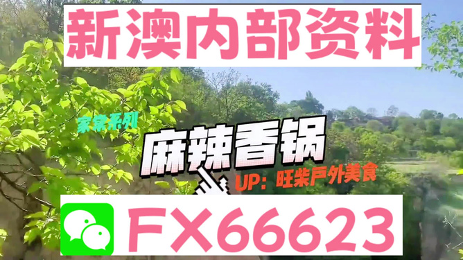 新澳資料最準的網(wǎng)站，權(quán)威數(shù)據(jù)來源與精準信息獲取指南，新澳資料最準網(wǎng)站，權(quán)威數(shù)據(jù)來源與精準信息獲取一站式指南