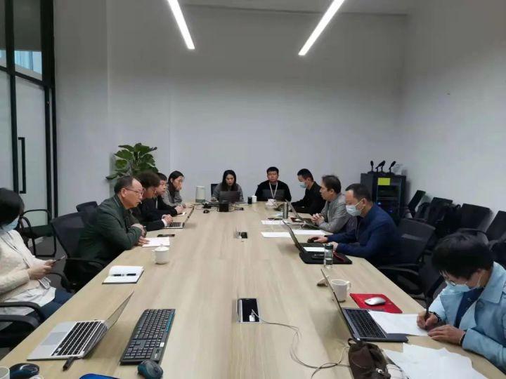 隆平高科股票股，投資潛力與市場前景分析，隆平高科股票投資潛力與市場前景深度解析