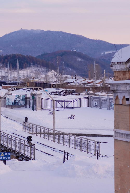 哈爾濱周邊旅游景點(diǎn)大揭秘，哈爾濱周邊旅游勝地大揭秘