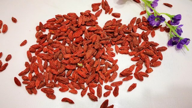 長(zhǎng)期吃枸杞子的害處，理性看待枸杞的食用與養(yǎng)生之道，長(zhǎng)期食用枸杞子的潛在影響與理性看待枸杞養(yǎng)生之道