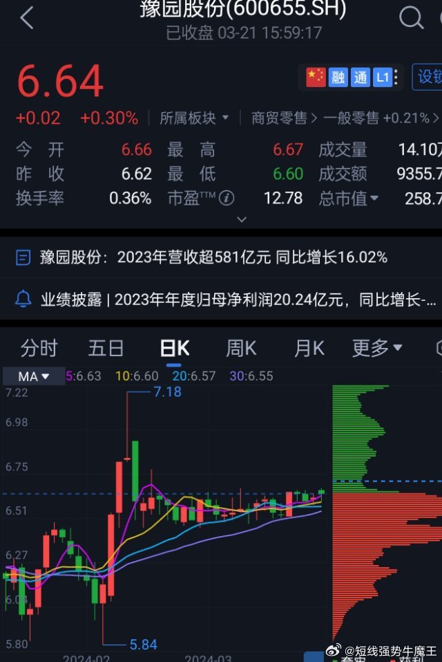 豫園股份股票，深度解析與前景展望，豫園股份股票深度解析及前景展望