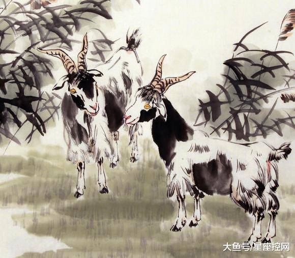 澳門最快開獎六開生肖，揭秘彩票背后的秘密，澳門六開生肖彩票背后的秘密揭曉