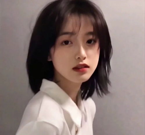 揭秘55049王中王準一肖的神秘面紗，揭秘，55049王中王準一肖的神秘面紗揭曉