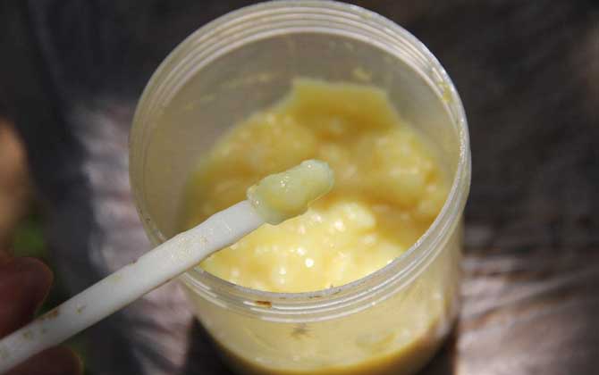 蜂王漿，功效、作用及食用方法詳解，蜂王漿，功效、作用及食用方法全面解析