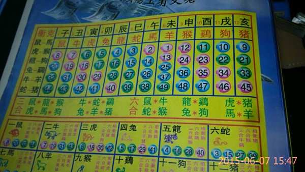 揭秘12生肖開獎記錄，歷史數(shù)據(jù)與趨勢分析，揭秘生肖開獎記錄，歷史數(shù)據(jù)與趨勢深度分析