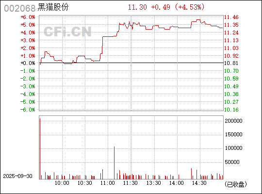 深入了解，關(guān)于股票代碼中的秘密——002068，揭秘股票代碼中的秘密，002068深度解析