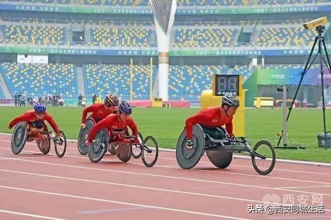 探索澳門未來，2025新澳門正版免費(fèi)資本車展望，澳門未來展望，2025資本車正版免費(fèi)探索之旅