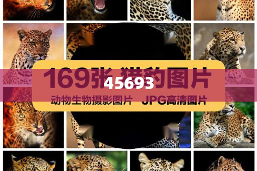 全新升級(jí)，7777888888精準(zhǔn)新管家，全新升級(jí)管家，精準(zhǔn)管理，一站式服務(wù) 7777888888新管家重磅來襲