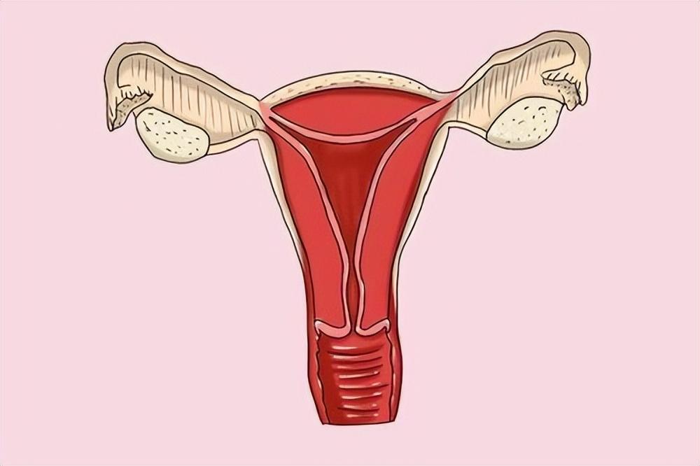 上環(huán)的最佳時(shí)間，全面解析與指導(dǎo)，上環(huán)最佳時(shí)間解析與指導(dǎo)手冊(cè)