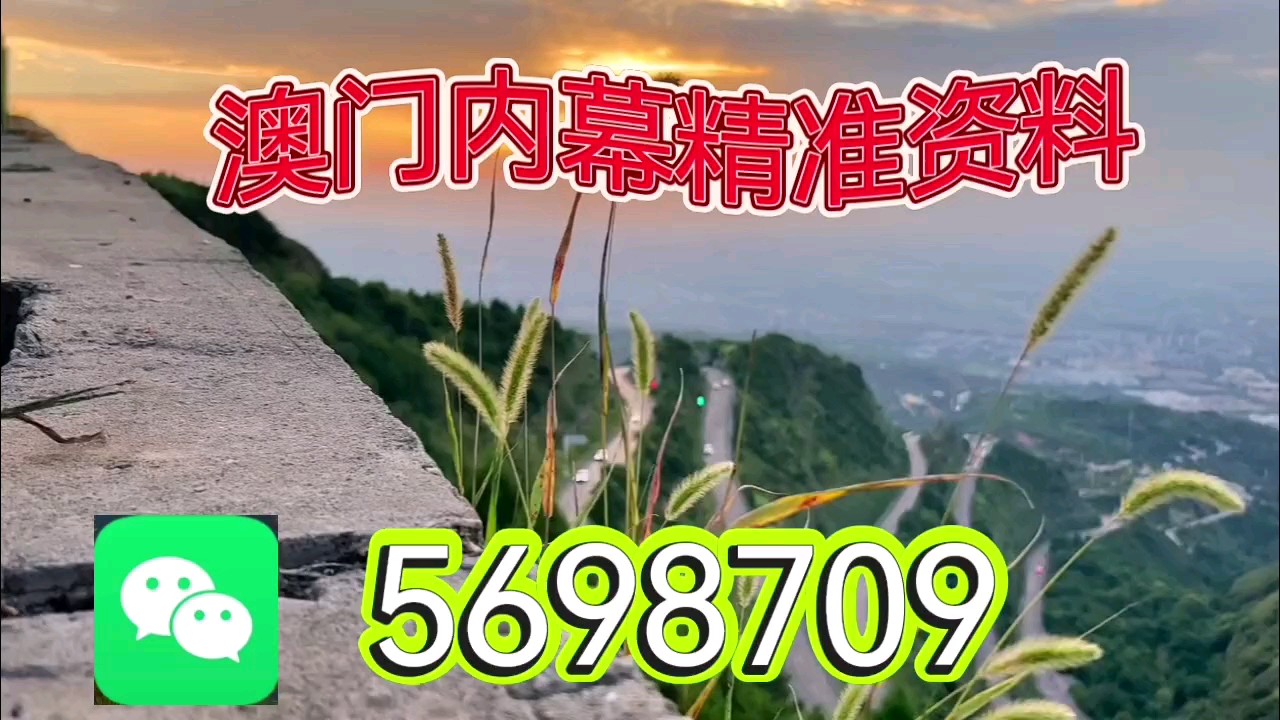 新澳天天開彩資料大全，探索彩票世界的奧秘，探索彩票世界奧秘，新澳天天開彩資料大全