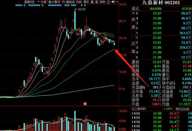 股票002201，深度解析與前景展望，股票002201深度解析與未來前景展望