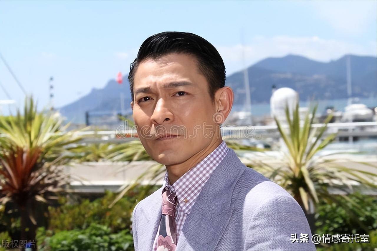 香港一碼一肖王中王，揭秘背后的秘密與真相，揭秘香港一碼一肖王中王的秘密與真相