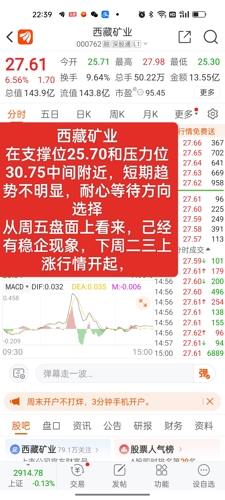 西藏礦業(yè)股票股吧，投資潛力與前景展望，西藏礦業(yè)股票投資潛力與前景展望，股吧熱議的焦點(diǎn)