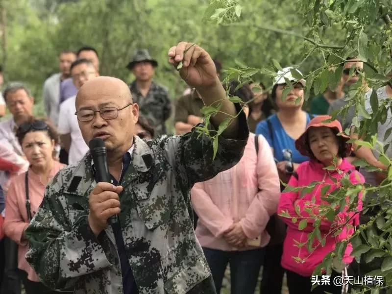 長期吃紅棗的潛在害處，了解并平衡飲食健康，長期食用紅棗的潛在風(fēng)險(xiǎn)與飲食平衡的重要性