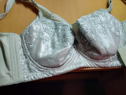 四肖期期誰一王中王——揭秘背后的秘密，揭秘四肖期期王中王背后的秘密