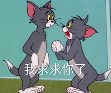湯姆貓股票股吧，投資熱點與前景展望，湯姆貓股票股吧，投資熱點與未來前景展望