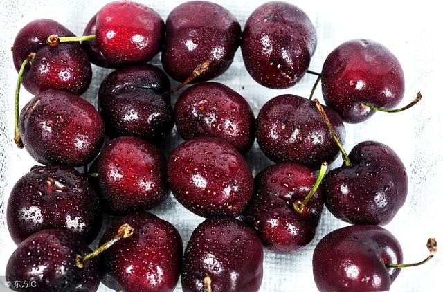 櫻桃與車?yán)遄拥牟町悾钊肓私鈨煞N美味水果的特色，櫻桃與車?yán)遄拥牟町愒斀?，兩種美味水果的特色探究