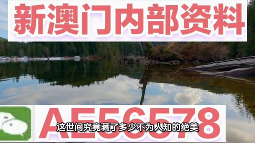 揭秘澳門精準四不像，預(yù)測未來的趨勢與探索（2025展望），澳門精準四不像揭秘，未來趨勢展望與探索（2025年預(yù)測）