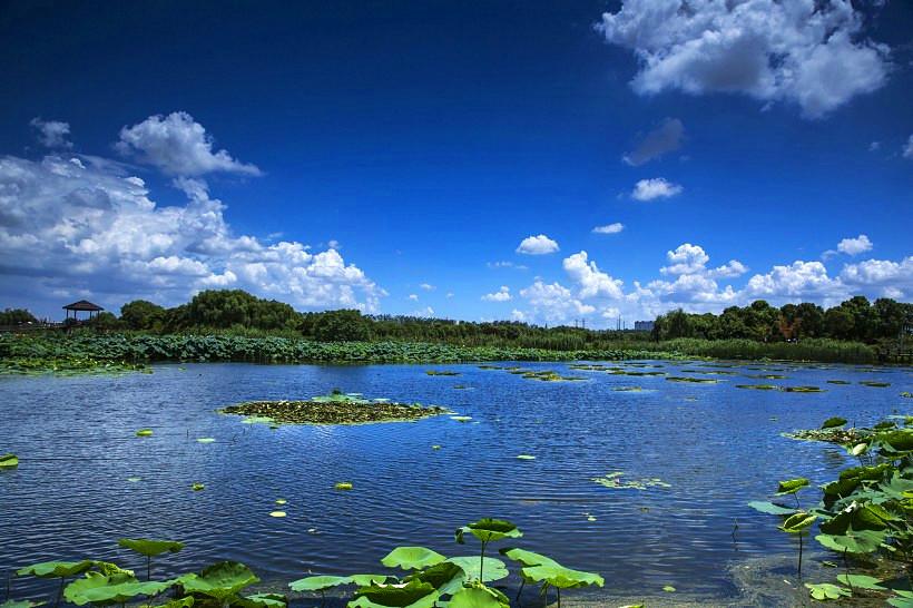 山東天氣最新消息，全面了解山東各地的氣象動(dòng)態(tài)，山東最新天氣預(yù)報(bào)，全面解讀各地氣象動(dòng)態(tài)
