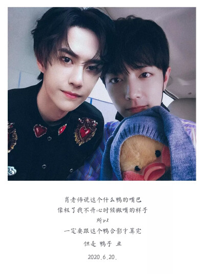 王中王一肖中特一肖精準預測——揭秘生肖運勢與未來展望，揭秘生肖運勢預測，王中王一肖精準預測未來展望