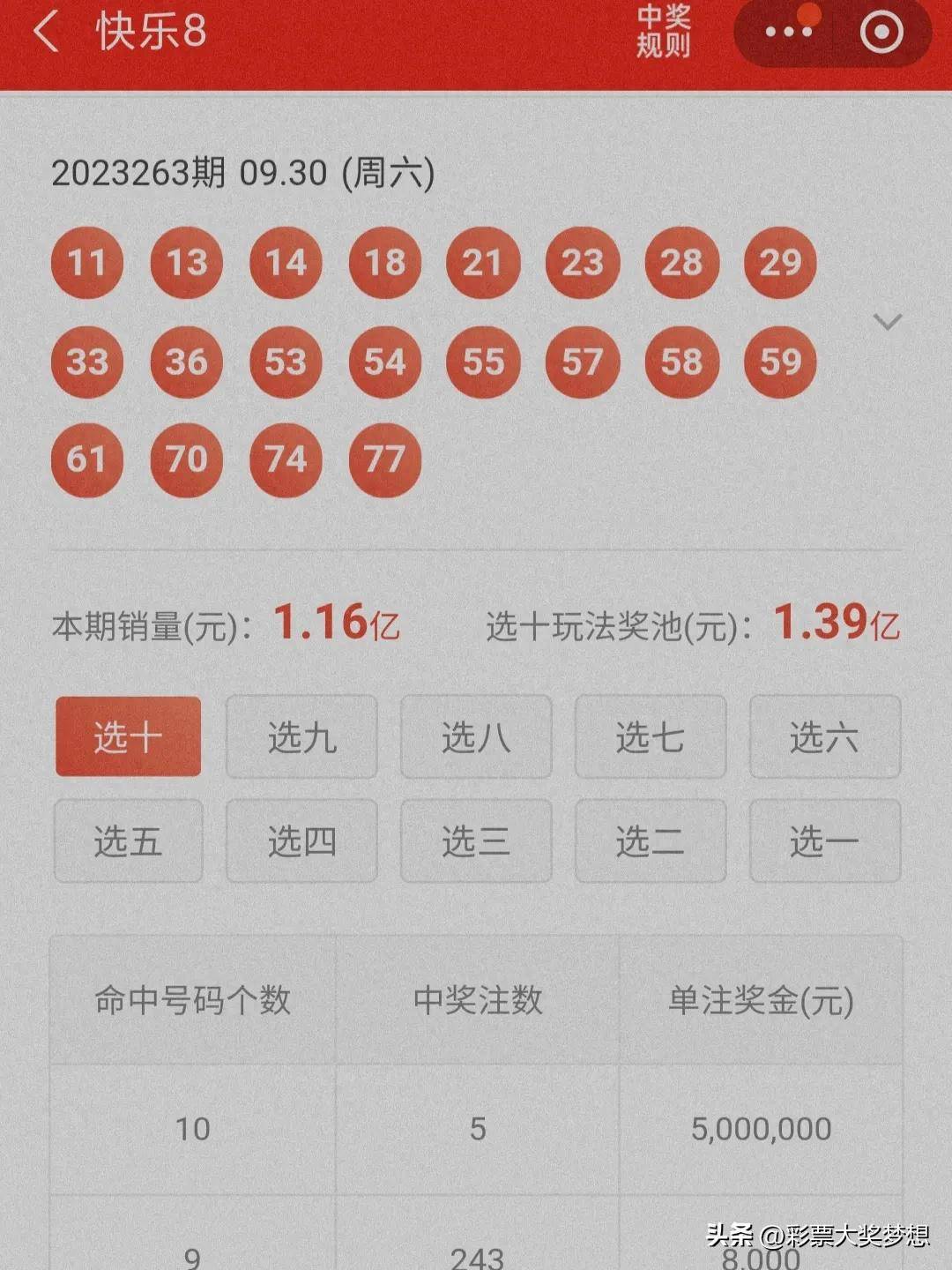 揭秘王中王四肖必中一肖中特，深度解析與SEO優(yōu)化策略，揭秘王中王四肖必中一肖中特，深度解析與SEO策略全攻略