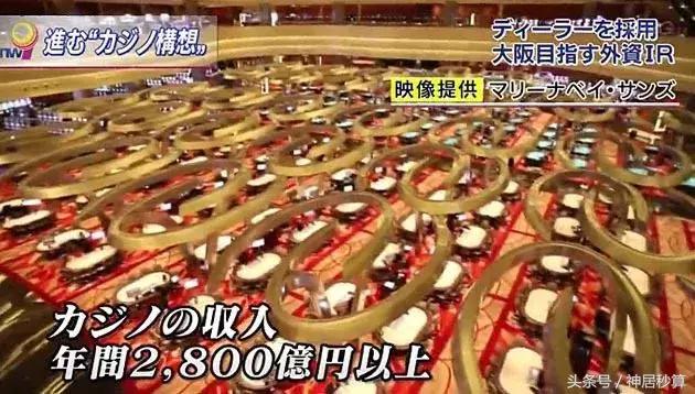 最新解析與實(shí)用指南