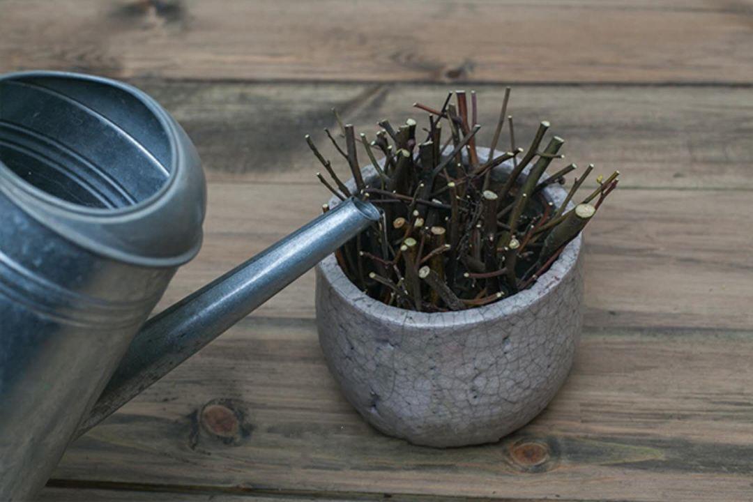 熱點(diǎn) 第34頁