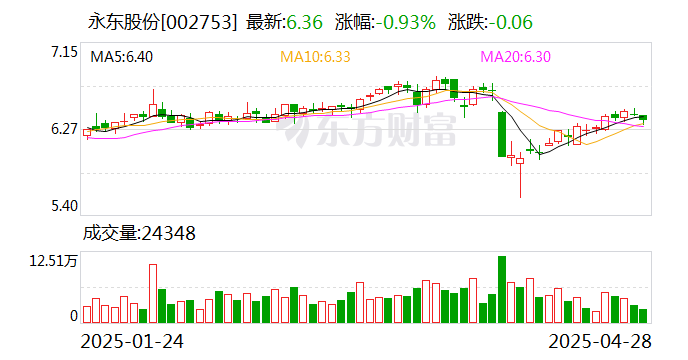 永東股份，引領(lǐng)行業(yè)前沿，塑造卓越未來，永東股份，引領(lǐng)行業(yè)先鋒，塑造卓越未來之路