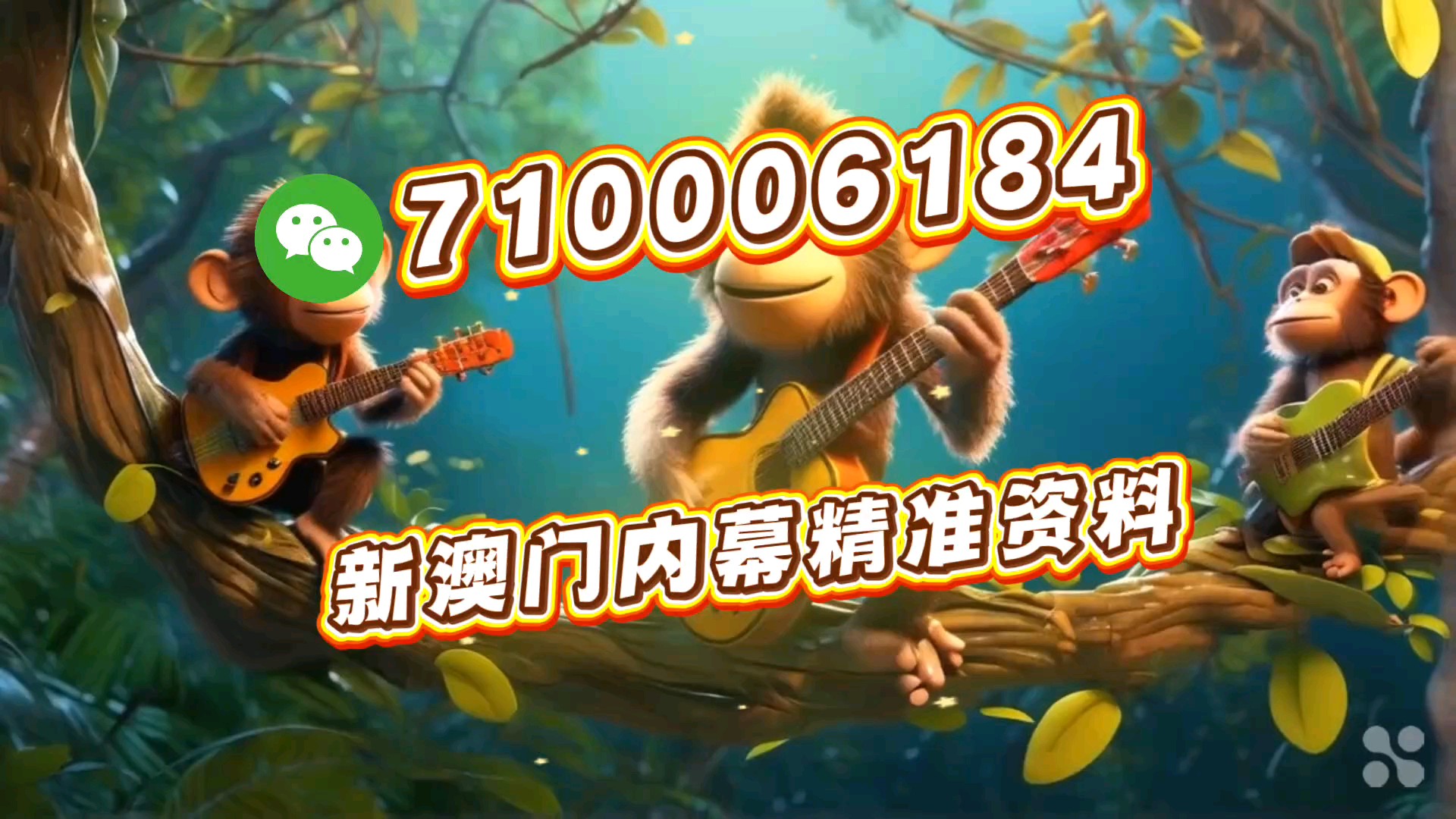 一肖一馬王中王一馬中特的奧秘與探索，一肖一馬王中王，揭秘馬中特的奧秘與探索之旅