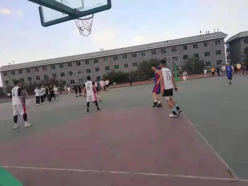 澳門二四六天下彩天天免費(fèi)大全——全面解析澳門彩票文化，澳門彩票文化全面解析，二四六天下彩免費(fèi)大全