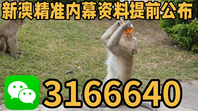 探索澳門(mén)特馬文化，四不像的獨(dú)特魅力與未來(lái)展望（關(guān)鍵詞，澳門(mén)特馬四不像），澳門(mén)特馬四不像文化深度探索，魅力、展望與未來(lái)發(fā)展