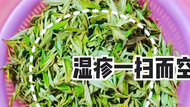 蕁麻疹最大克星，花椒的奧秘及其應(yīng)用，揭秘花椒奧秘，蕁麻疹的天然克星