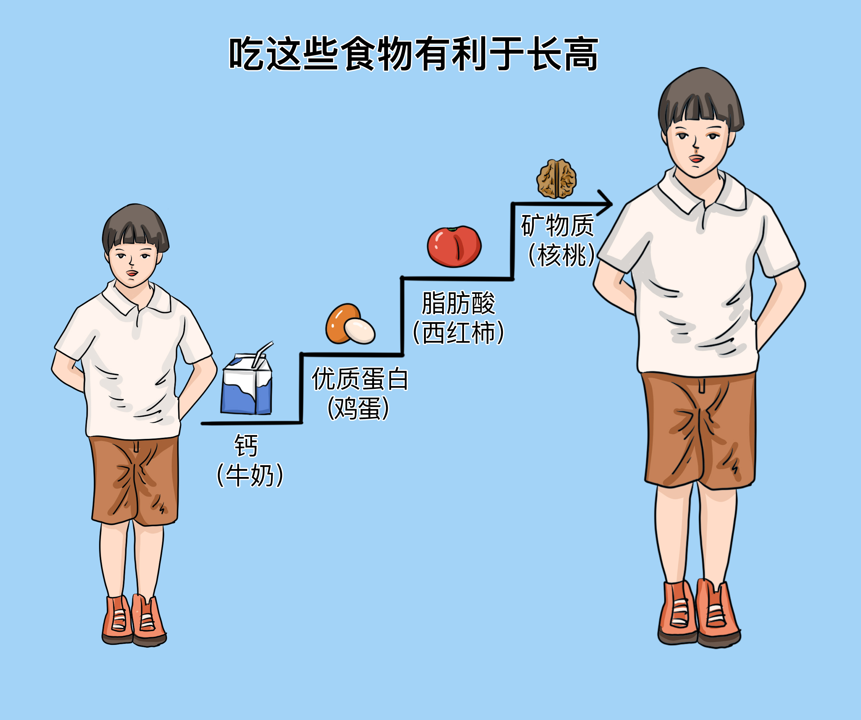 什么食物吃猛長(zhǎng)高——助力生長(zhǎng)發(fā)育的食物指南，助力生長(zhǎng)發(fā)育，猛長(zhǎng)高的食物指南