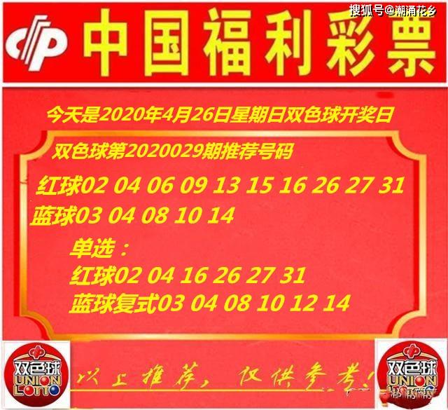 王中王029期指一生肖，揭秘生肖魅力與預(yù)測背后的秘密，揭秘生肖魅力與預(yù)測背后的秘密，王中王生肖預(yù)測第029期揭曉