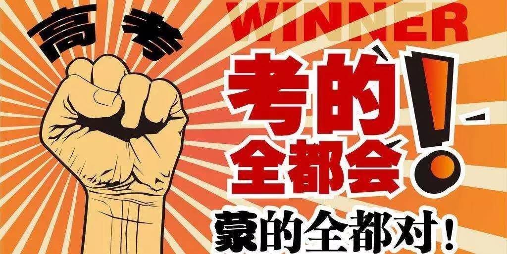 揭秘王中王與肖的不同之處，深度解析第123期，揭秘王中王與肖差異深度解析第123期，獨(dú)家對(duì)比與解讀