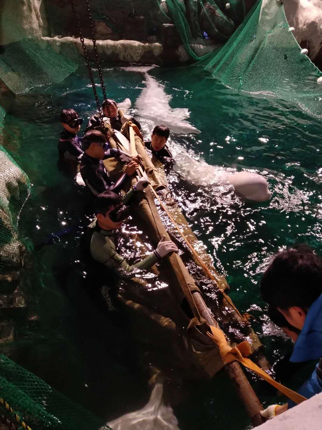 杭州極地海洋公園門票價格詳解，多少錢一張？，杭州極地海洋公園門票價格全解析，費用究竟是多少？