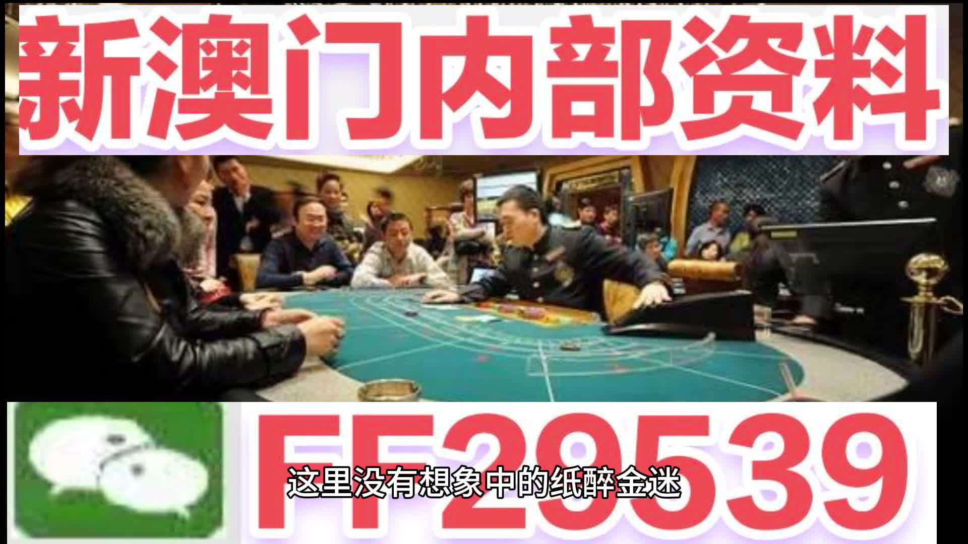 澳門特馬今晚開獎香港——探索彩票背后的故事與未來展望，澳門特馬與香港彩票，背后的故事及未來展望