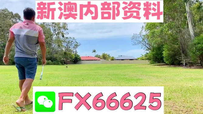王中王一肖一嗎期期中，深度解析與SEO優(yōu)化策略，王中王一肖一期的深度解析與SEO優(yōu)化策略探討