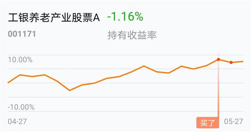 關(guān)于工銀養(yǎng)老產(chǎn)業(yè)股票基金凈值——解讀與洞察（001171），工銀養(yǎng)老產(chǎn)業(yè)股票基金凈值深度解讀與洞察（代碼，001171）