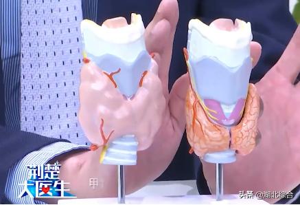 甲減的癥狀，深入了解甲狀腺功能減低的常見(jiàn)表現(xiàn)，深入了解甲狀腺功能減退的癥狀表現(xiàn)，甲減的征兆與常見(jiàn)表現(xiàn)