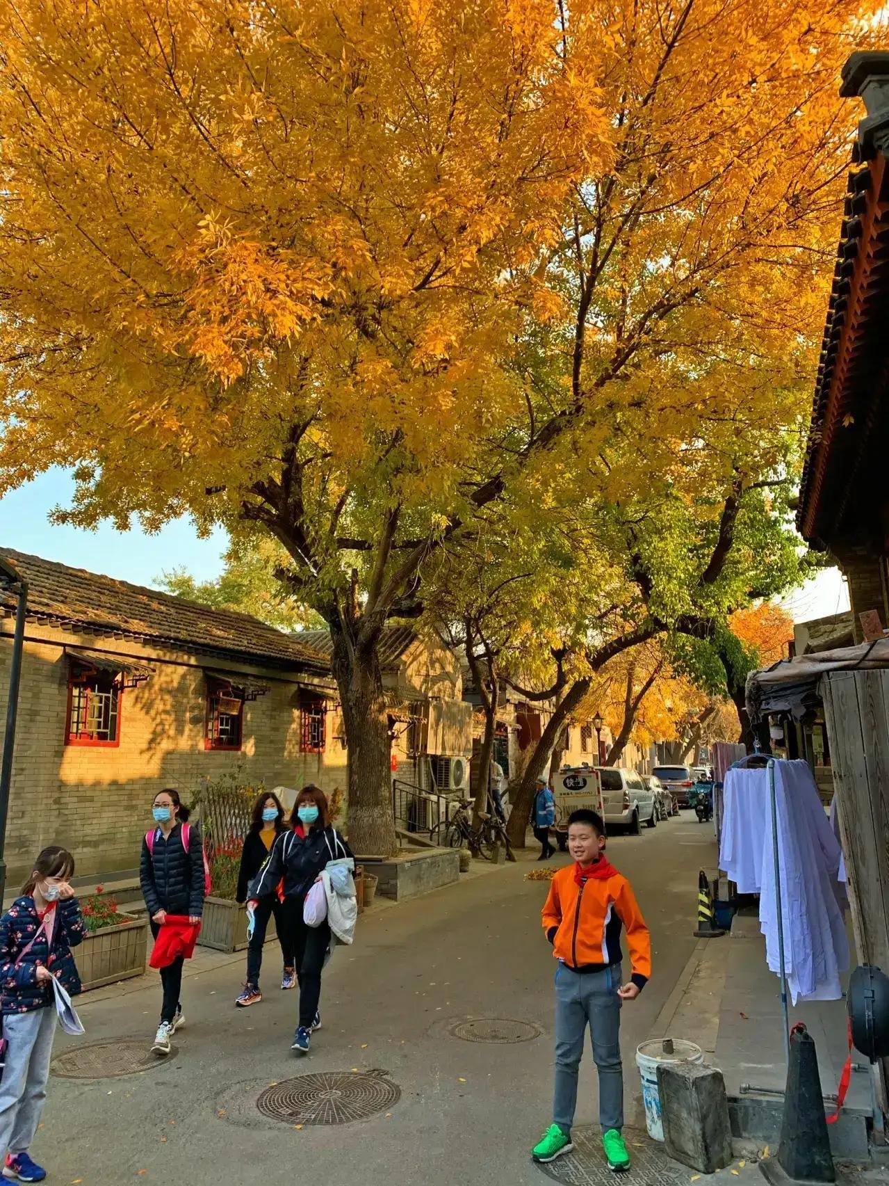 冬天北京一日游最佳景點攻略，北京冬季一日游最佳景點攻略
