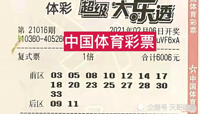 揭秘2025年新澳門開獎結(jié)果，開獎秘密與彩票文化深度解析，澳門彩票開獎結(jié)果深度解析，揭秘秘密與彩票文化展望2025年