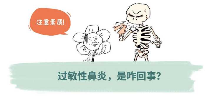 深度解析與探討
