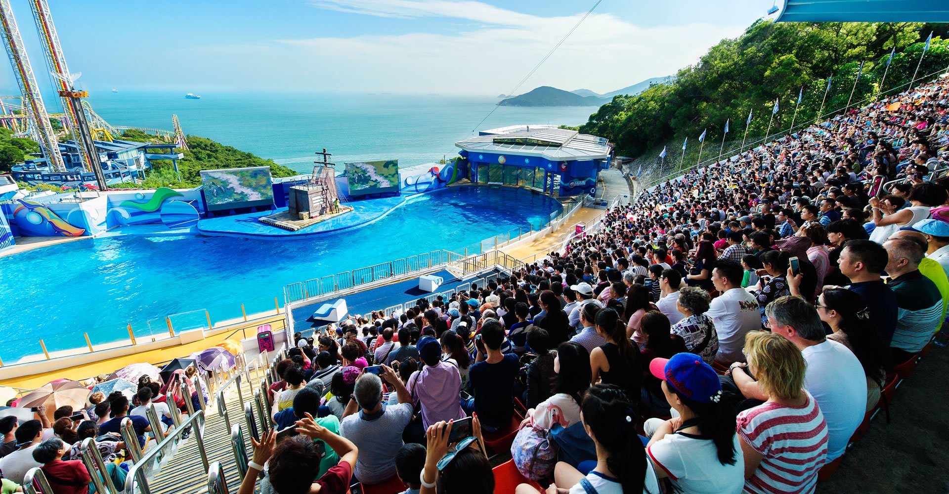 香港海洋公園官方網(wǎng)站，探索海洋魅力的首選之地，香港海洋公園官方網(wǎng)站，探索海洋魅力的首選之地