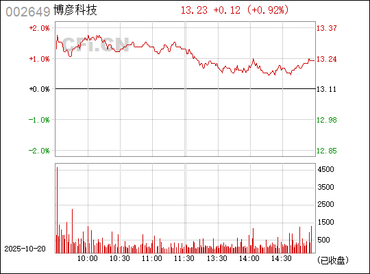 SEO優(yōu)化策略/指南