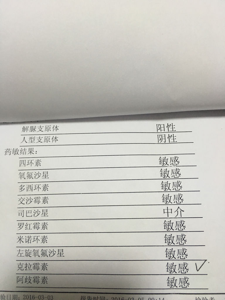 支原體陽性轉(zhuǎn)陰的時間，了解與應(yīng)對，支原體陽性轉(zhuǎn)陰的時間及應(yīng)對策略