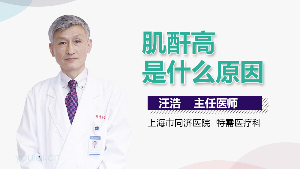 肌酐高是什么原因？深入了解背后的因素，肌酐高背后的原因，深入了解與解析